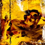 Frozen in Amber 