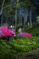 <p>foto: Martin Brunn</p><p> </p>