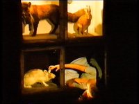 Fotograf: Stillbild från video