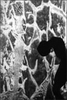 Fotograf: Göran Gustafsson