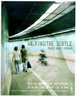 walking/The Subtle flyer